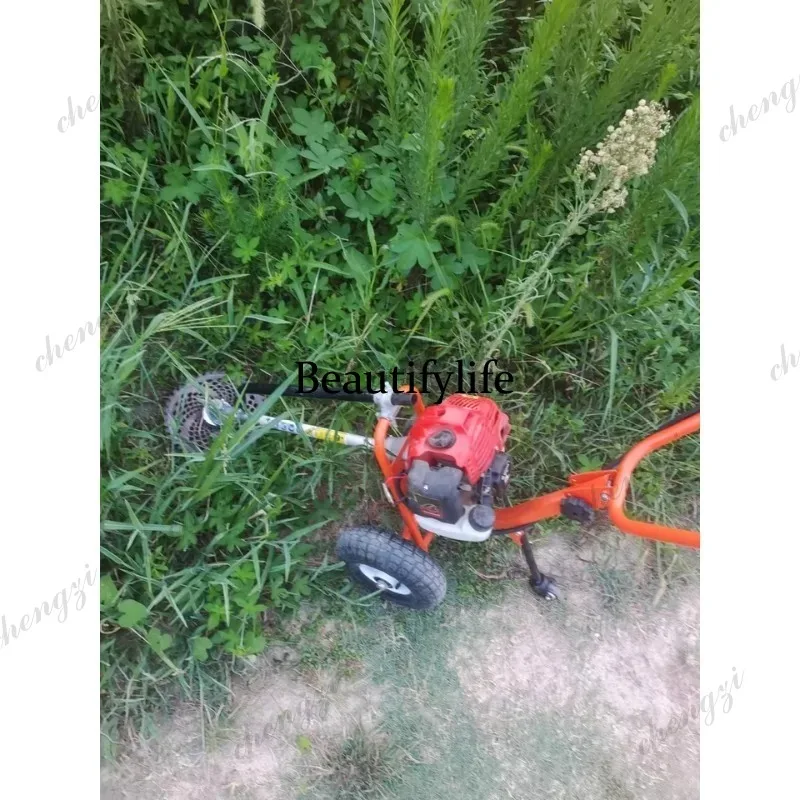L178 Rasaerba a spinta manuale - Power Tools Hand Tools recensione e prezzo